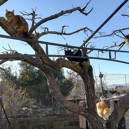 Etna, Salvia E Rosmarino Vakantiehuis *
