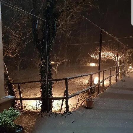 Etna, Salvia E Rosmarino