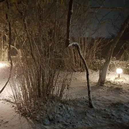 Etna, Salvia E Rosmarino