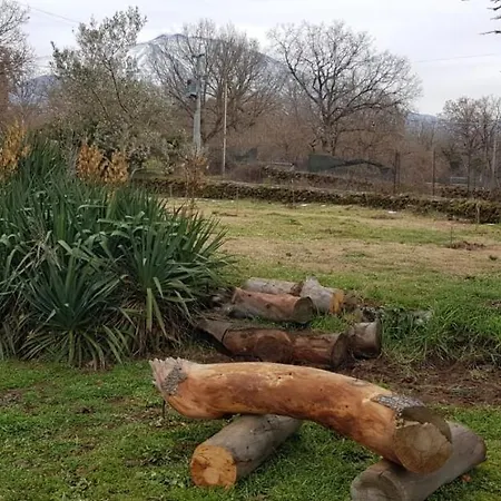 Etna, Salvia E Rosmarino