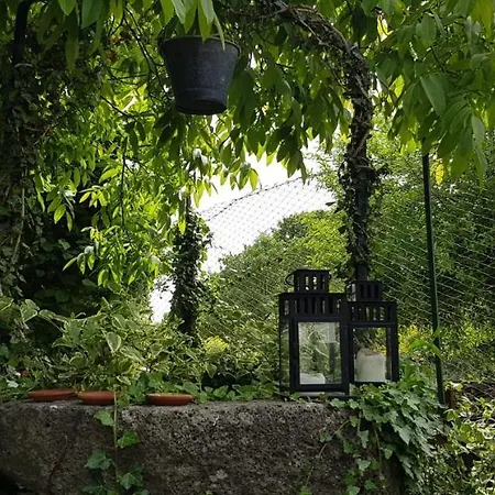Etna, Salvia E Rosmarino