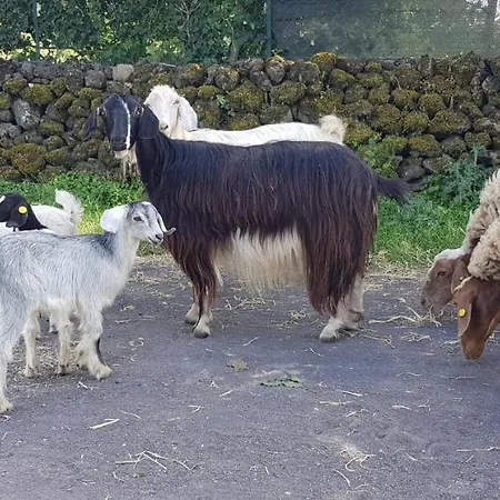 Etna, Salvia E Rosmarino * Maletto