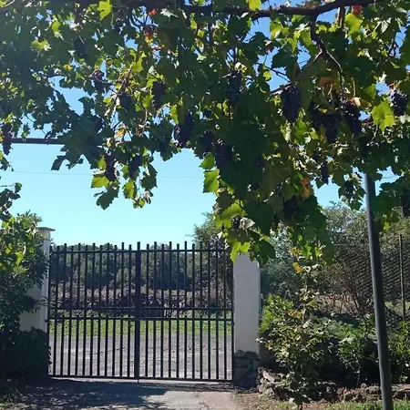 Vakantiehuis Etna, Salvia E Rosmarino
