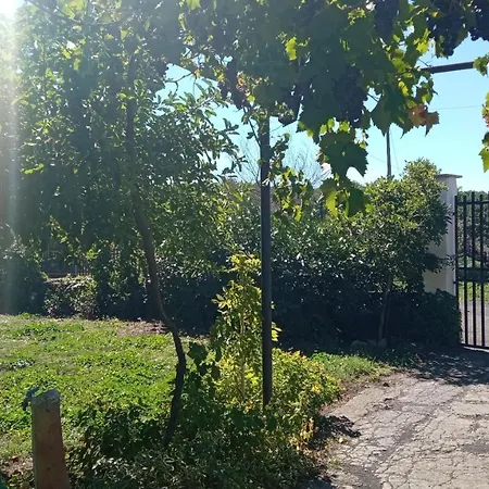 Etna, Salvia E Rosmarino *