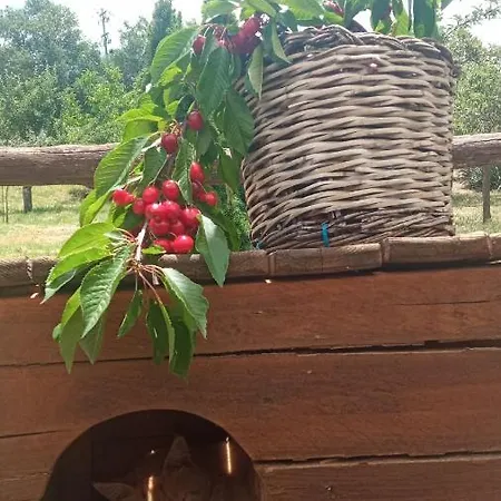 Etna, Salvia E Rosmarino Maletto