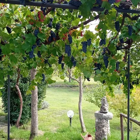 Etna, Salvia E Rosmarino بيت للعطل