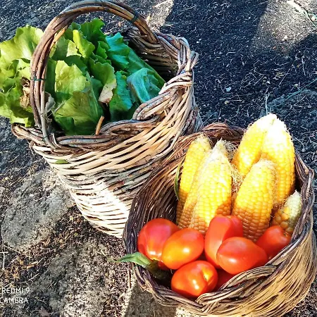 Vakantiehuis Etna, Salvia E Rosmarino Maletto