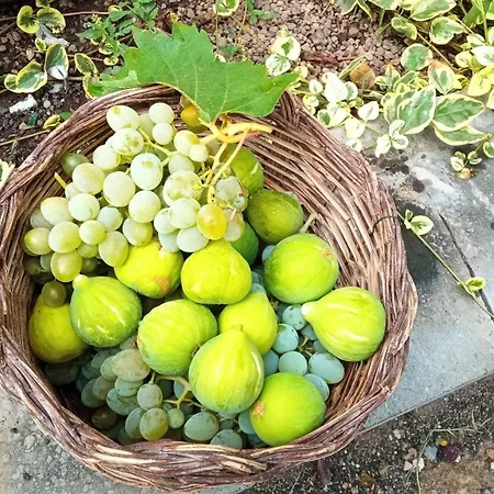 Vakantiehuis Etna, Salvia E Rosmarino