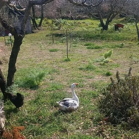 Etna, Salvia E Rosmarino Holiday home