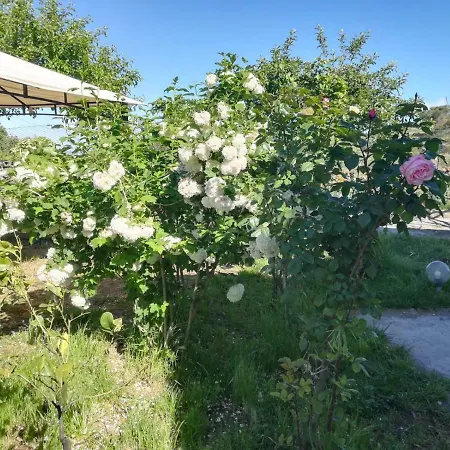 Etna, Salvia E Rosmarino Vakantiehuis Maletto