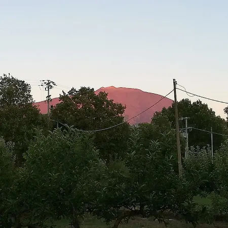 Etna, Salvia E Rosmarino * Maletto