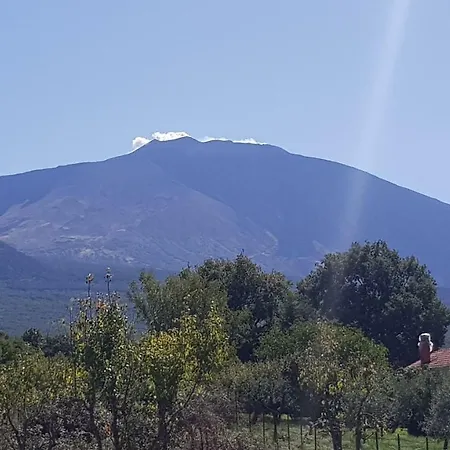 Etna, Salvia E Rosmarino * Maletto