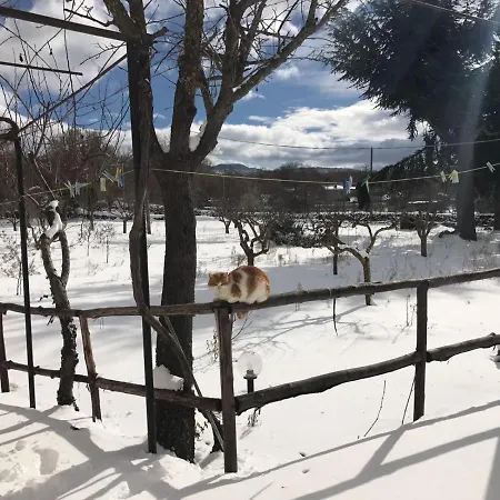 Vakantiehuis Etna, Salvia E Rosmarino Maletto